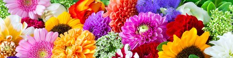En farverig samling af forskellige blomster, herunder solhverv, dahliaer og krysantemummer, pryder et træbord. Blomsterne i nuancer af pink, orange, lilla og hvid skaber en livlig og festlig stemning. Grønne blade og stængler tilføjer et naturligt element til kompositionen.